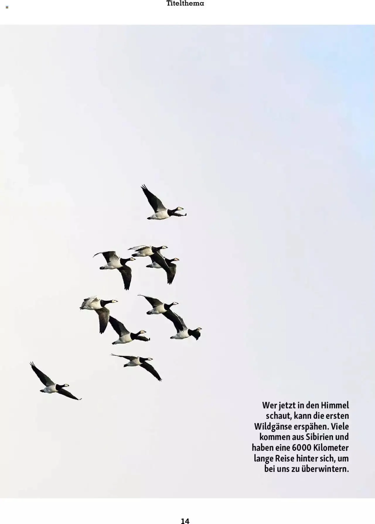 Fressnapf Magazin von 1. September bis 31. Oktober 2023 - Prospekt seite 14