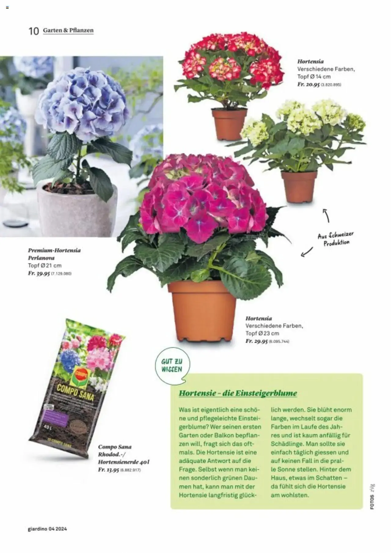 Jumbo Aktionen giardino von 21. Oktober bis 31. Dezember 2024 - Prospekt seite  10