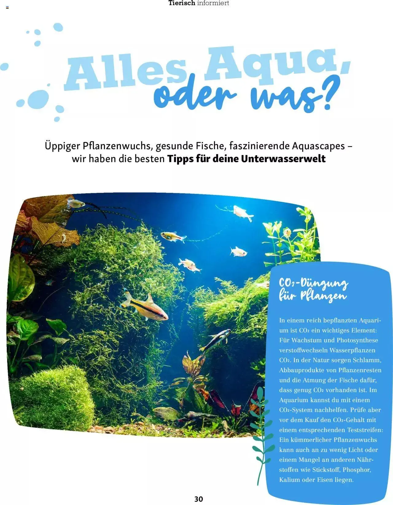 Fressnapf Magazin von 1. November bis 31. Dezember 2023 - Prospekt seite 30