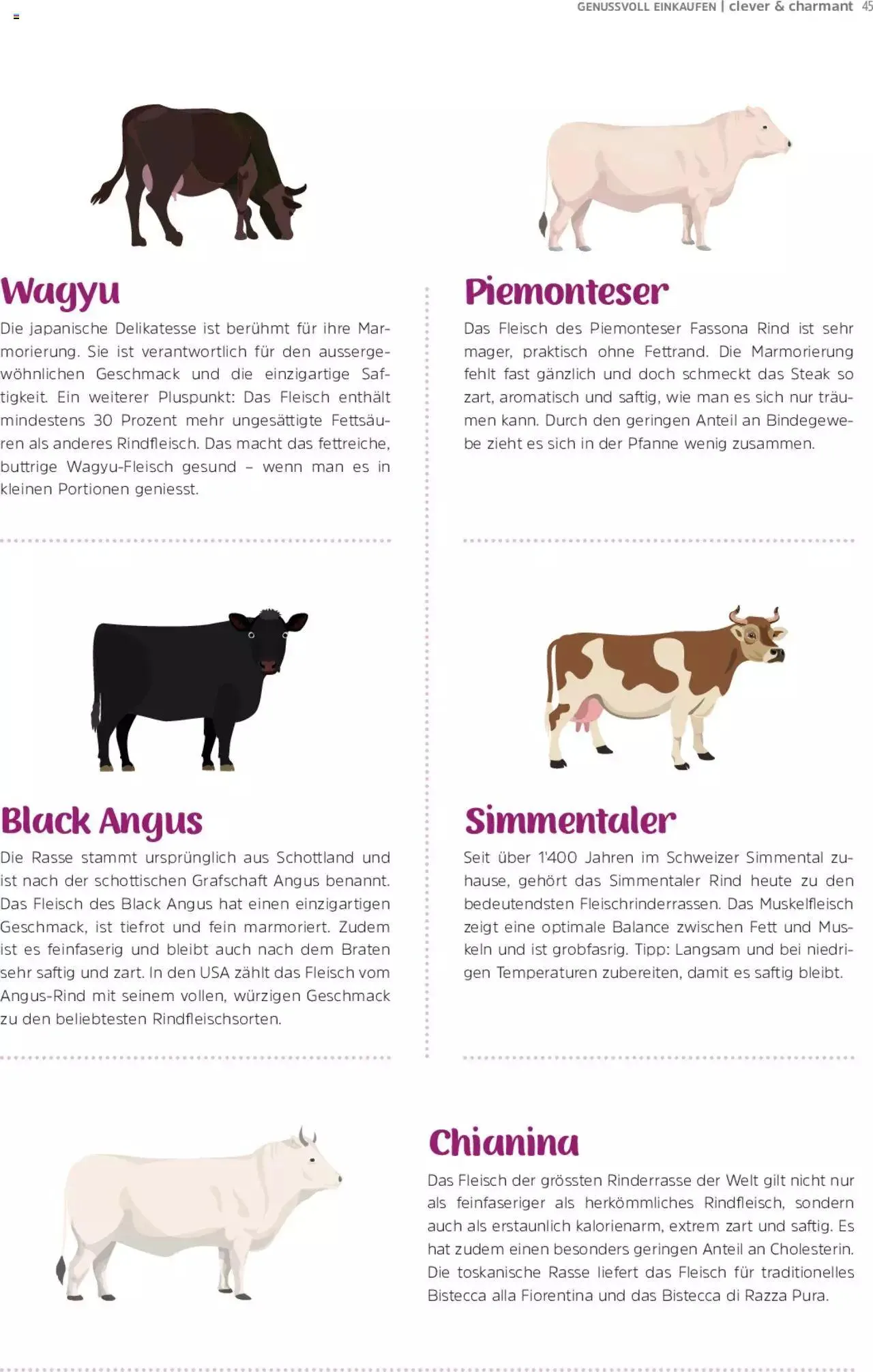 TopCC Clever und Charmant von 1. Mai bis 31. Dezember 2023 - Prospekt seite  45