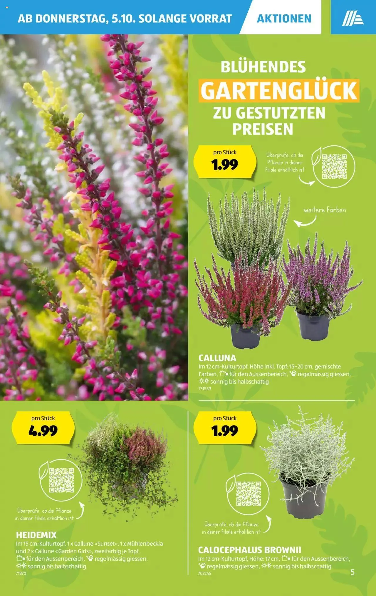 Aldi Aktionen von 5. Oktober bis 11. Oktober 2023 - Prospekt seite  5