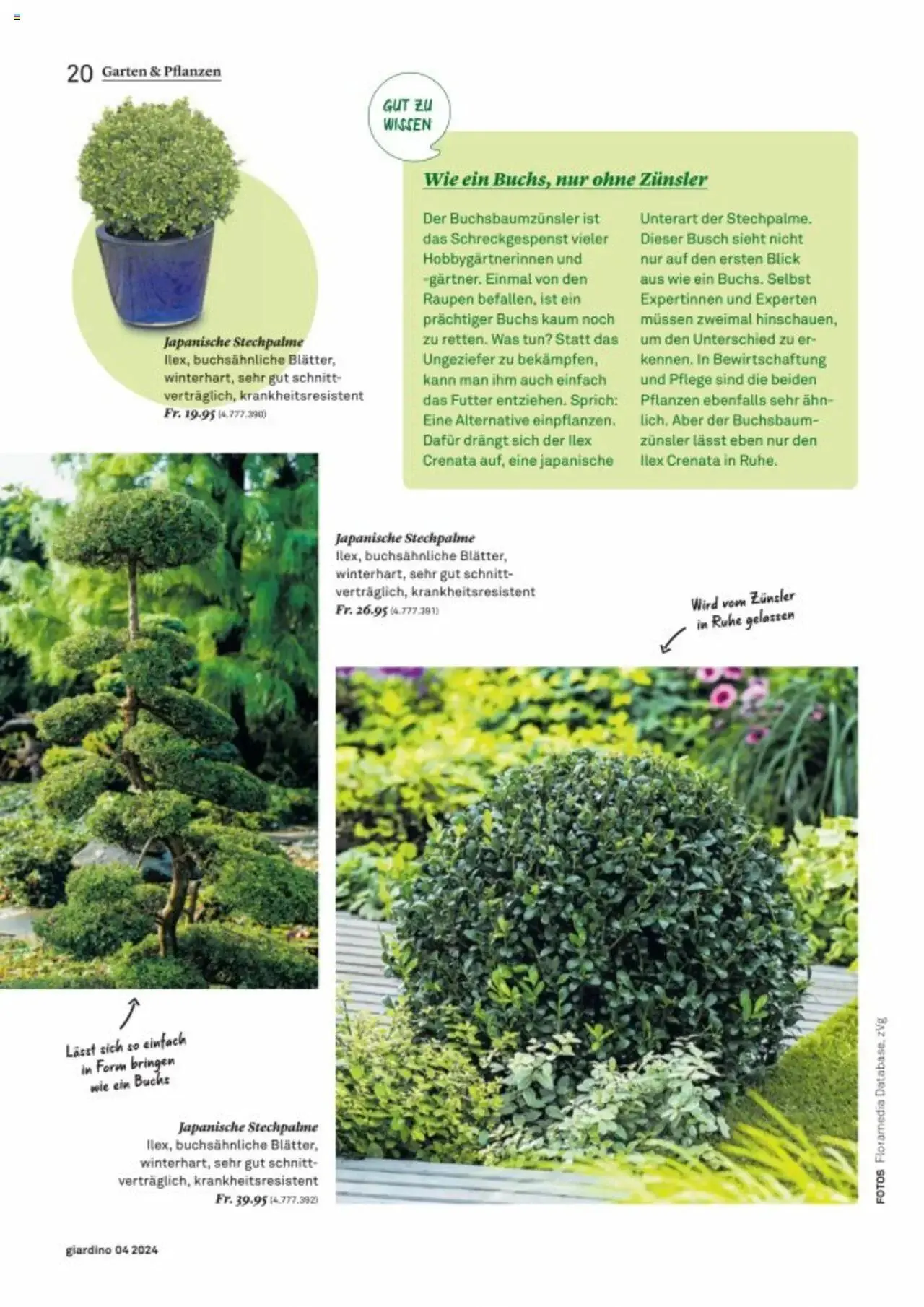 Jumbo Aktionen giardino von 21. Oktober bis 31. Dezember 2024 - Prospekt seite  20