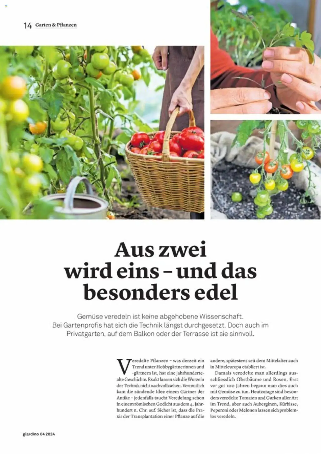 Jumbo Aktionen giardino von 21. Oktober bis 31. Dezember 2024 - Prospekt seite  14
