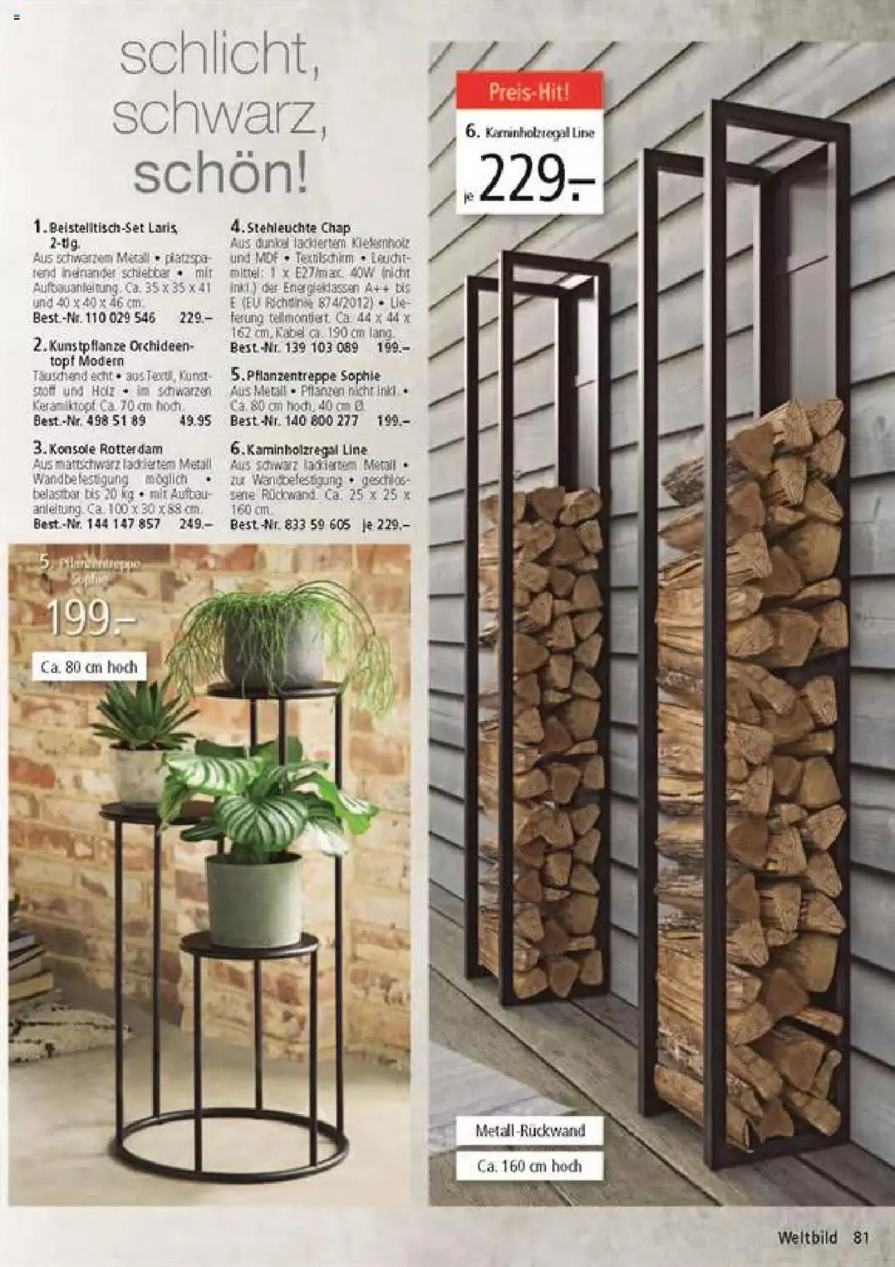 Weltbild - Aktueller Prospekt von 27. Januar bis 31. Dezember 2023 - Prospekt seite  81