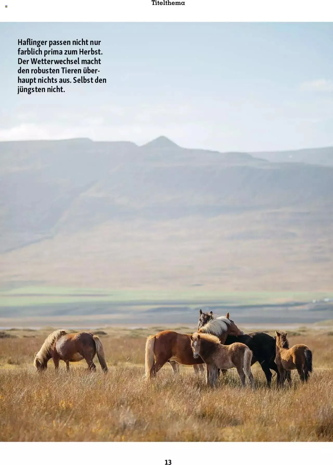 Fressnapf Magazin von 1. September bis 31. Oktober 2023 - Prospekt seite  13