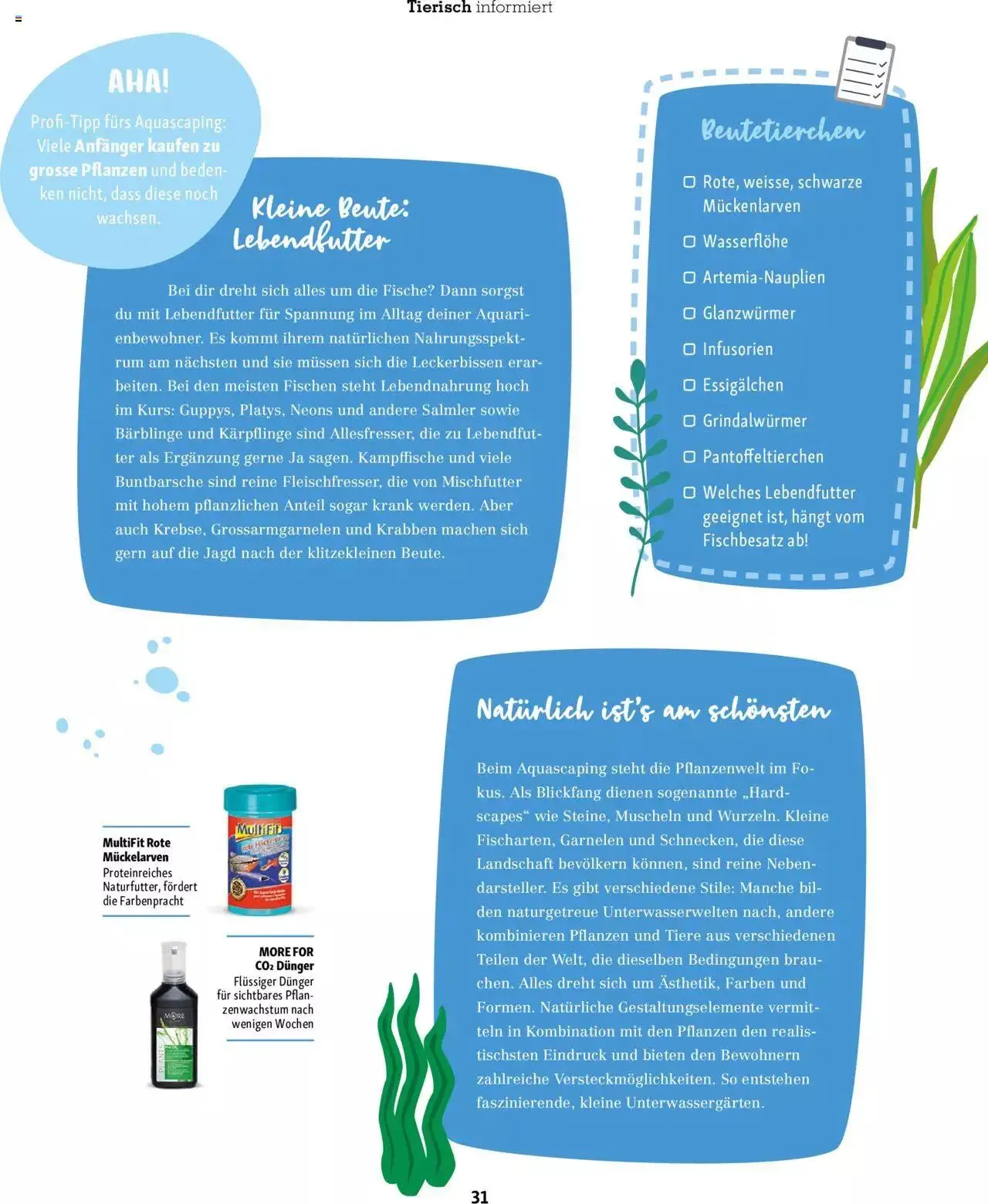 Fressnapf Magazin von 1. November bis 31. Dezember 2023 - Prospekt seite 31