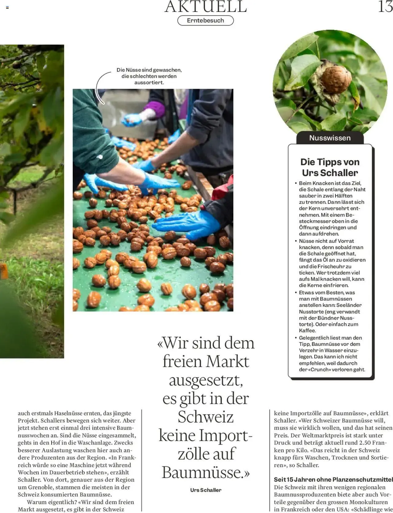 Migros - Magazin von 21. Oktober bis 27. Oktober 2024 - Prospekt seite  13