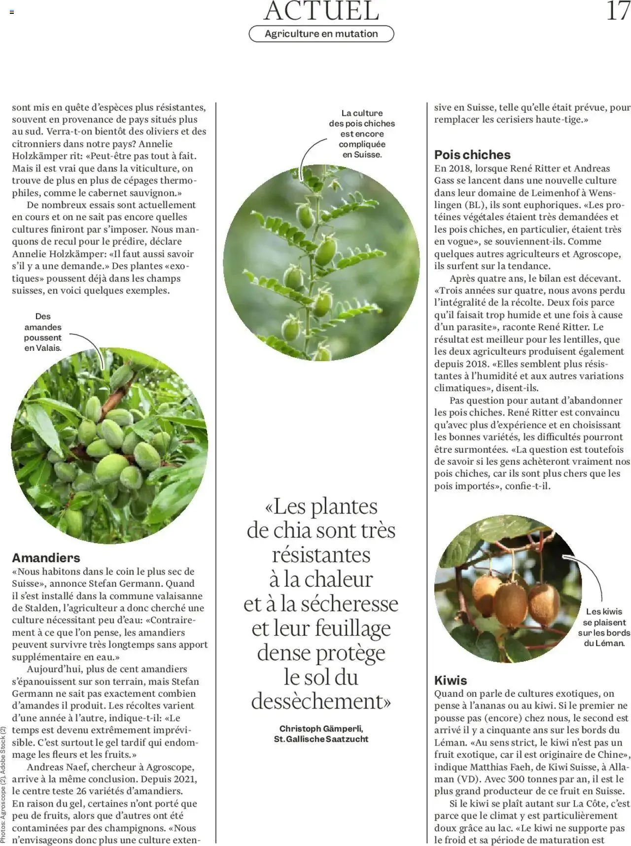 Migros - Magazin FR von 30. September bis 6. Oktober 2024 - Prospekt seite  17