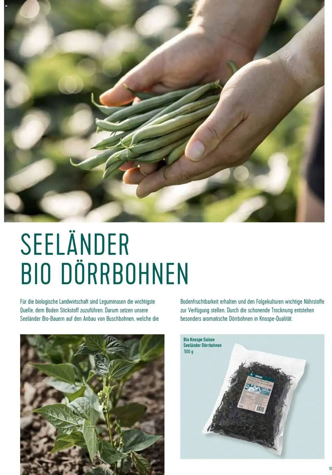 Prodega Aktionen Origine Sortimentsbroschüre von 1. Mai bis 31. Dezember 2024 - Prospekt seite  51