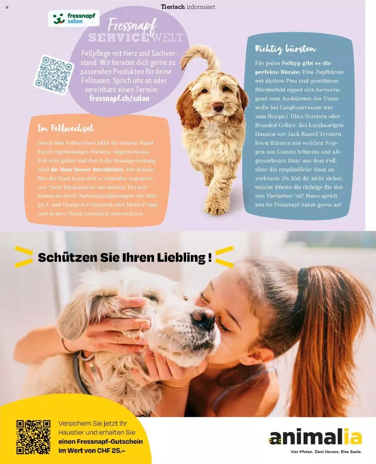 Fressnapf Magazin von 1. September bis 31. Oktober 2023 - Prospekt seite 31
