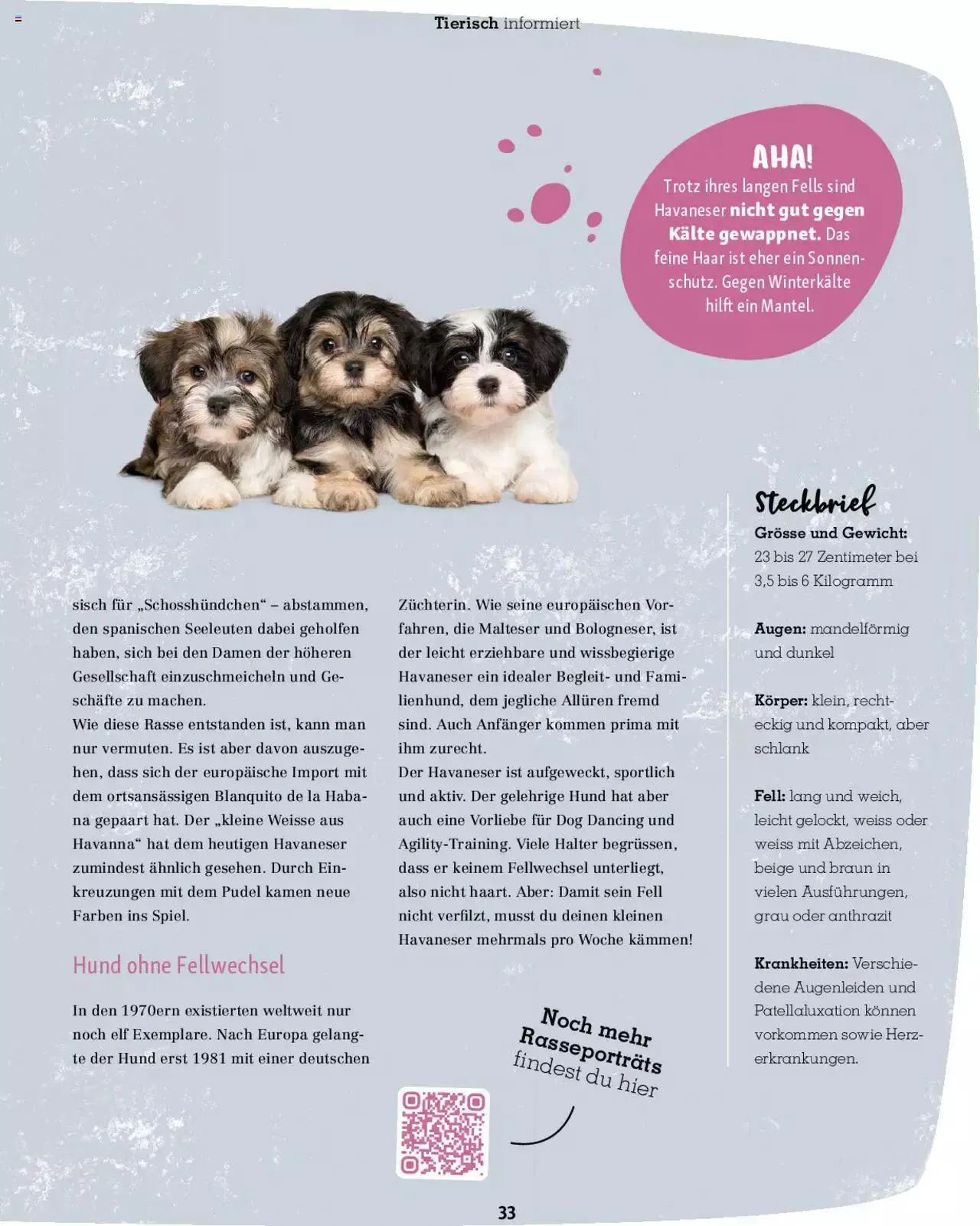 Fressnapf Magazin von 1. September bis 31. Oktober 2023 - Prospekt seite  33