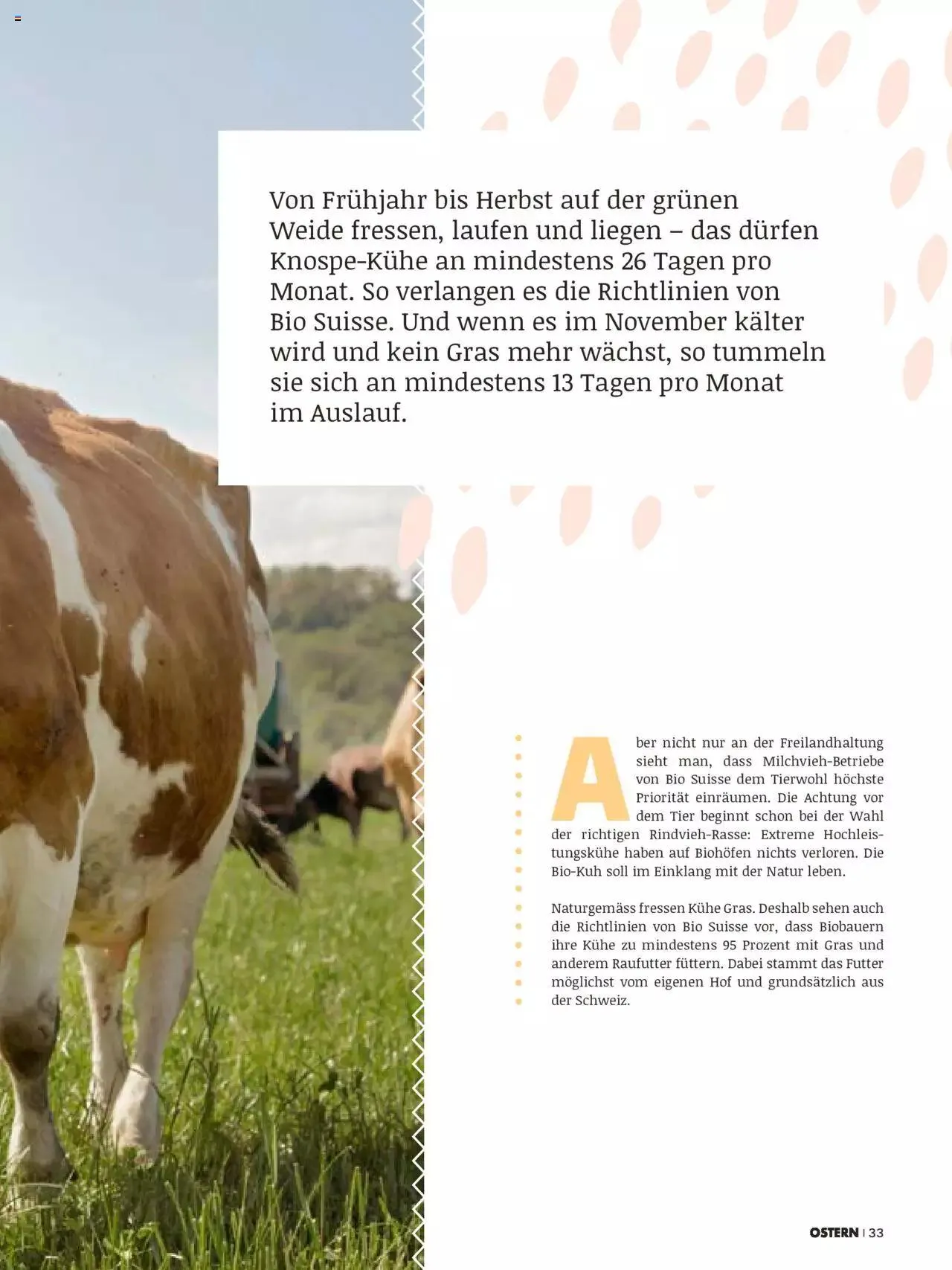 Coop Aktionen Ostern von 28. März bis 31. Dezember 2023 - Prospekt seite  33