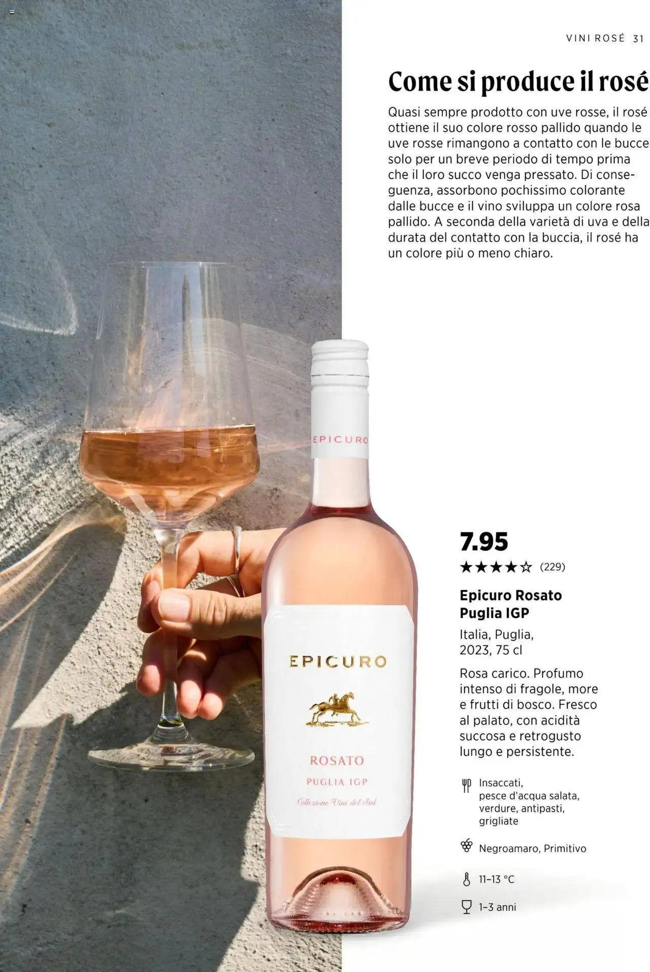 Denner Aktionen Guida dei vini 2024/2025 von 11. September bis 31. Dezember 2024 - Prospekt seite 31