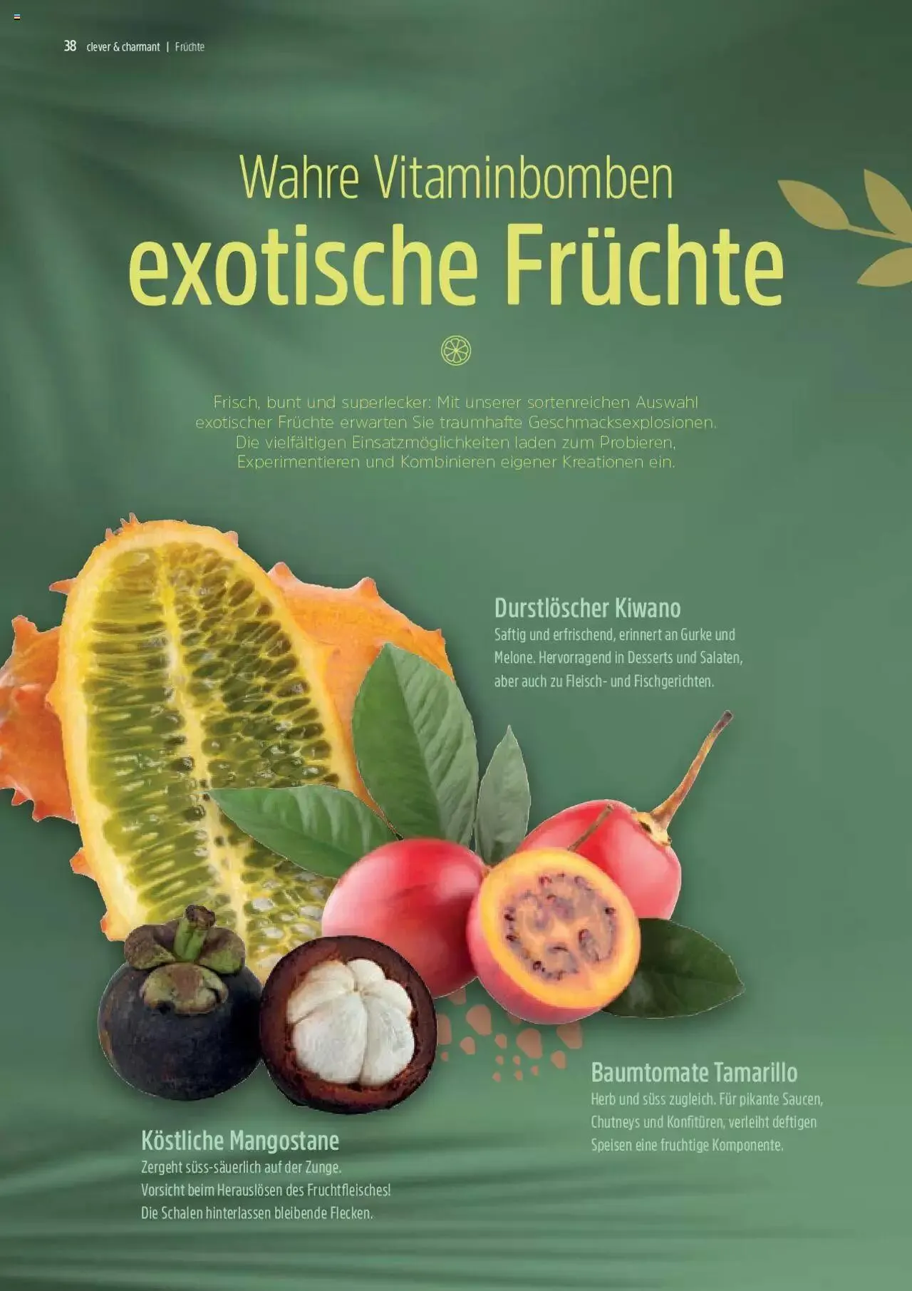 TopCC Kundenmagazin 4 von 1. November bis 31. Dezember 2024 - Prospekt seite  38