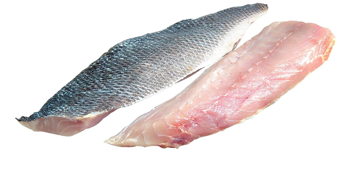 Wolfsbarschfilets gezüchtet frisch