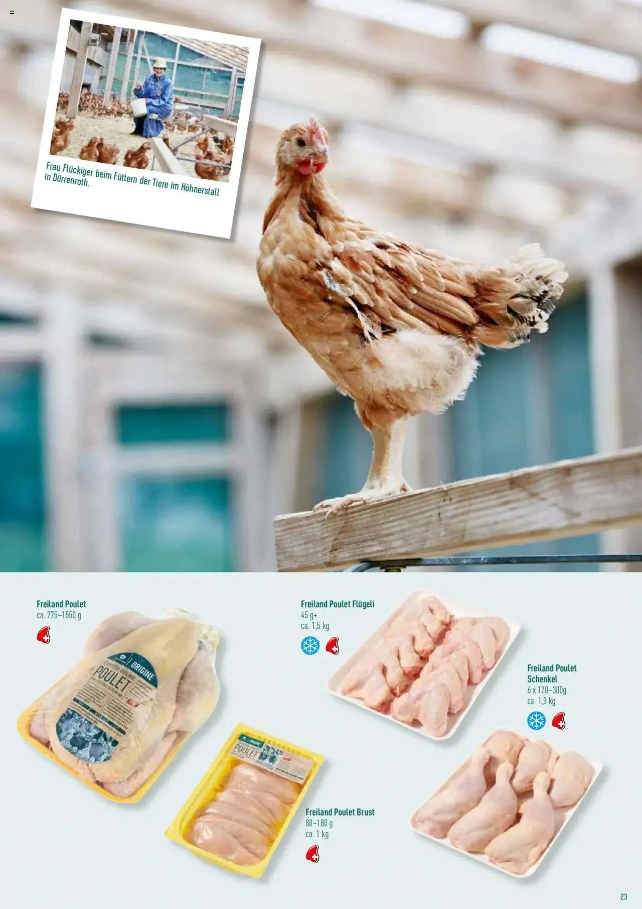 Prodega Aktionen Origine Sortimentsbroschüre von 1. Mai bis 31. Dezember 2024 - Prospekt seite  23