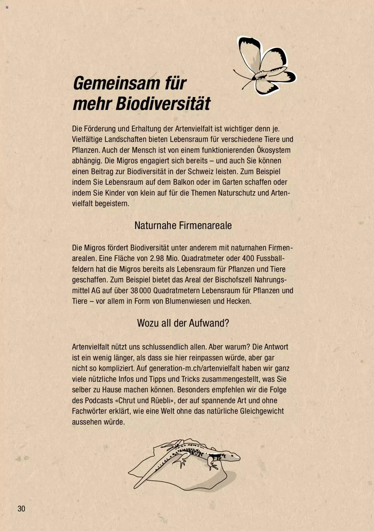 DO IT+GARDEN MIGROS - Biodiversität Broschüre von 9. März bis 31. Dezember 2024 - Prospekt seite  30