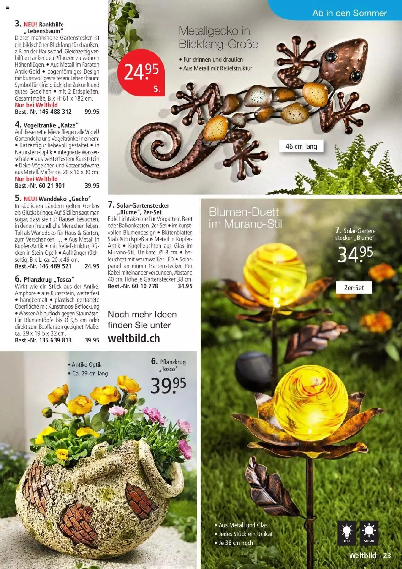 Weltbild Aktionen von 1. Juli bis 31. Juli 2023 - Prospekt seite  23
