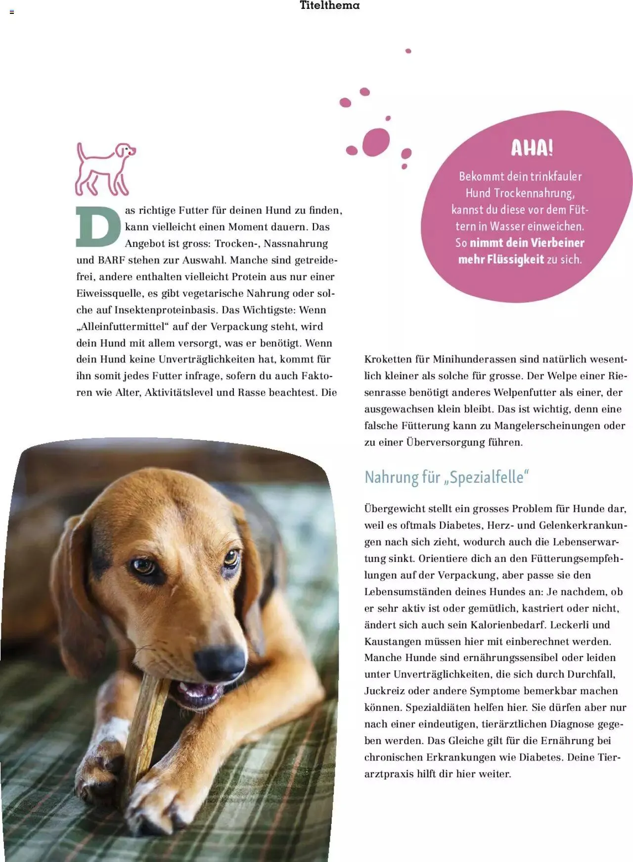 Fressnapf Magazin von 1. September bis 31. Oktober 2023 - Prospekt seite  18