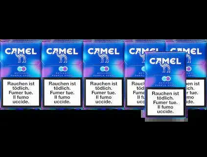 Camel Activate Purple Spark