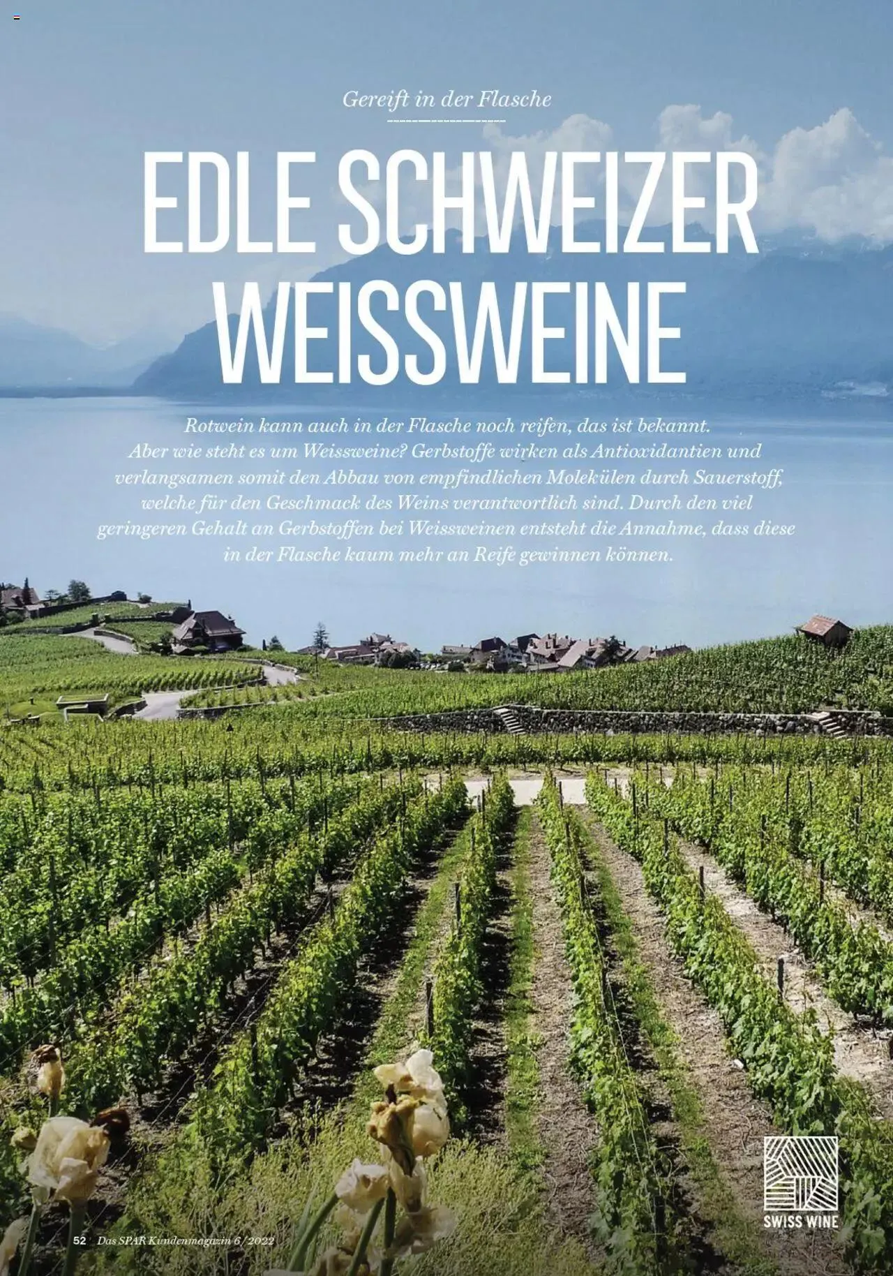 SPAR - Kundenmagazin 06 von 23. November bis 31. Dezember 2023 - Prospekt seite  54