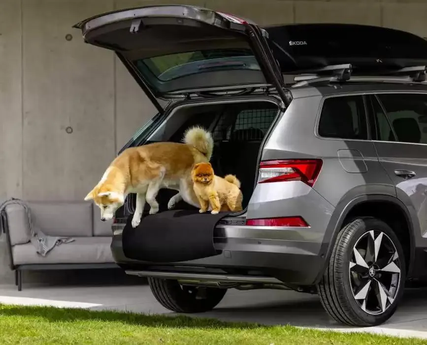 Prospekt Original Zubehör ® - Kodiaq von 24. Oktober bis 7. November 2024 - Prospekt seite  26