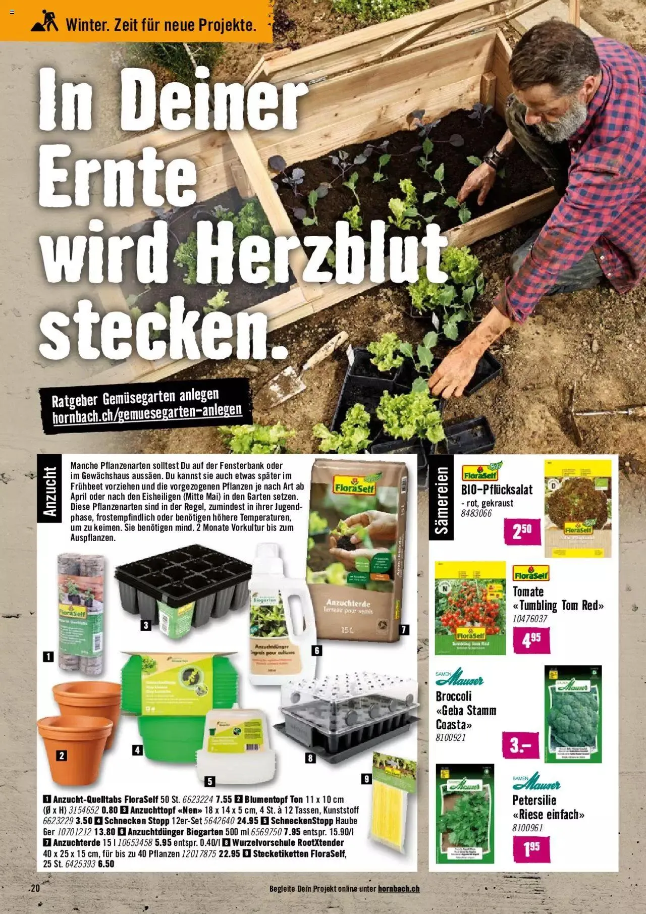 Hornbach Aktionen von 1. Februar bis 26. Februar 2024 - Prospekt seite 20