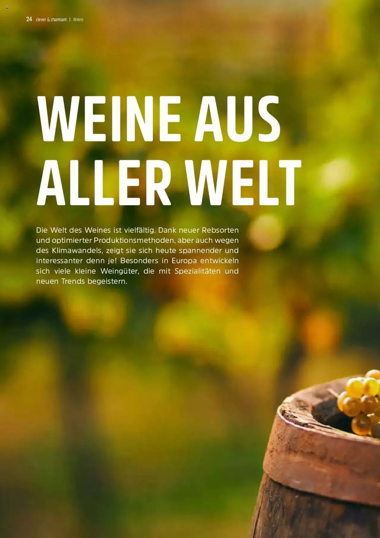 TopCC Kundenmagazin 4 von 1. November bis 31. Dezember 2024 - Prospekt seite  24