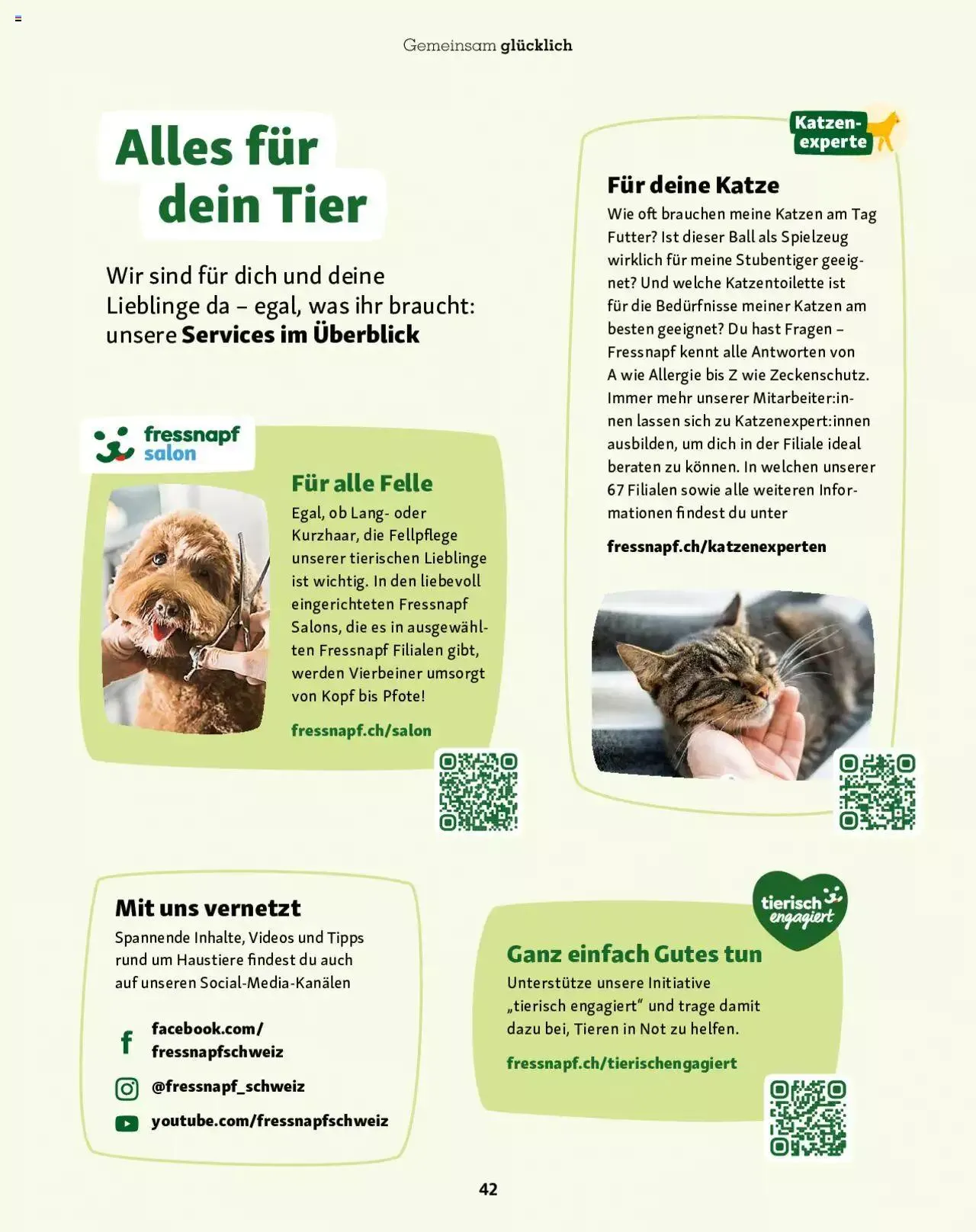 Fressnapf Magazin von 1. September bis 31. Oktober 2023 - Prospekt seite  42