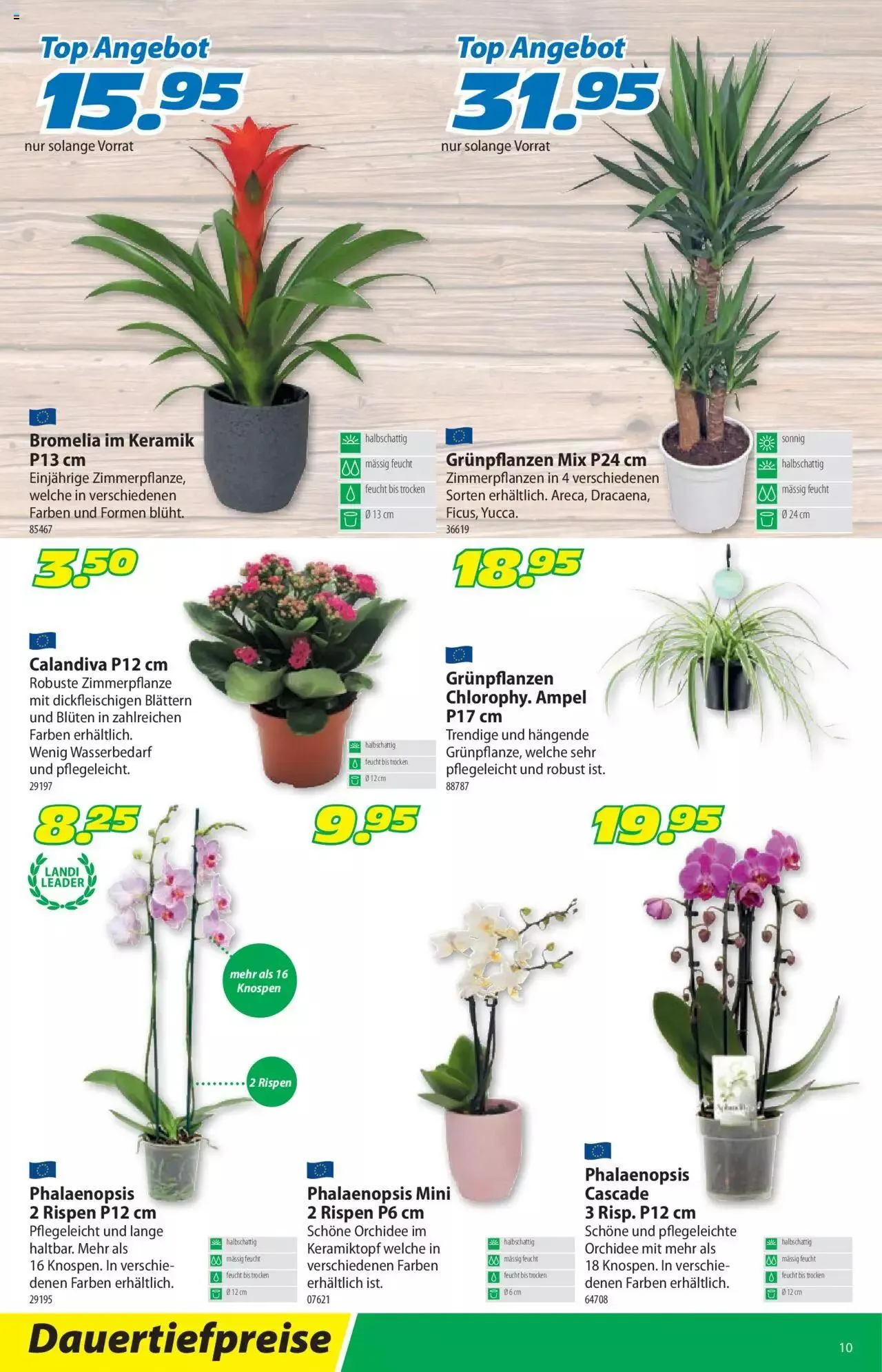 Landi - Aktueller Prospekt von 26. Dezember bis 31. Dezember 2023 - Prospekt seite 10