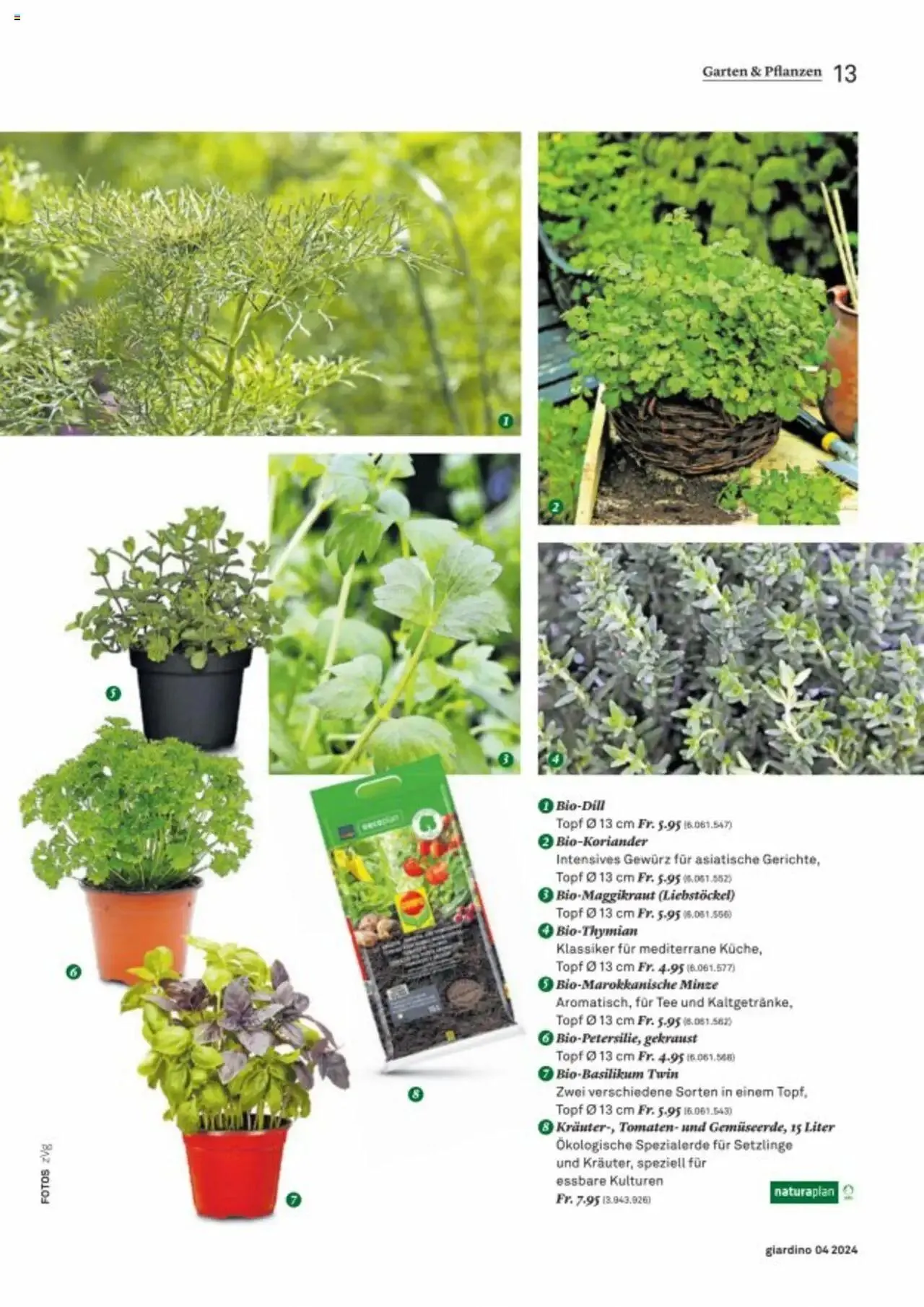 Jumbo Aktionen giardino von 21. Oktober bis 31. Dezember 2024 - Prospekt seite  13