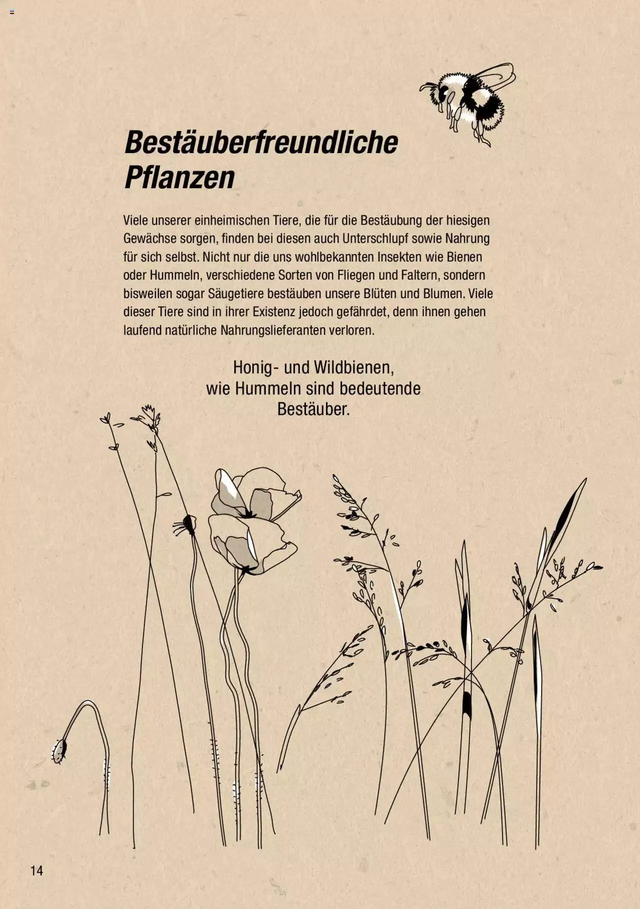 DO IT+GARDEN MIGROS - Biodiversität Broschüre von 9. März bis 31. Dezember 2024 - Prospekt seite  14