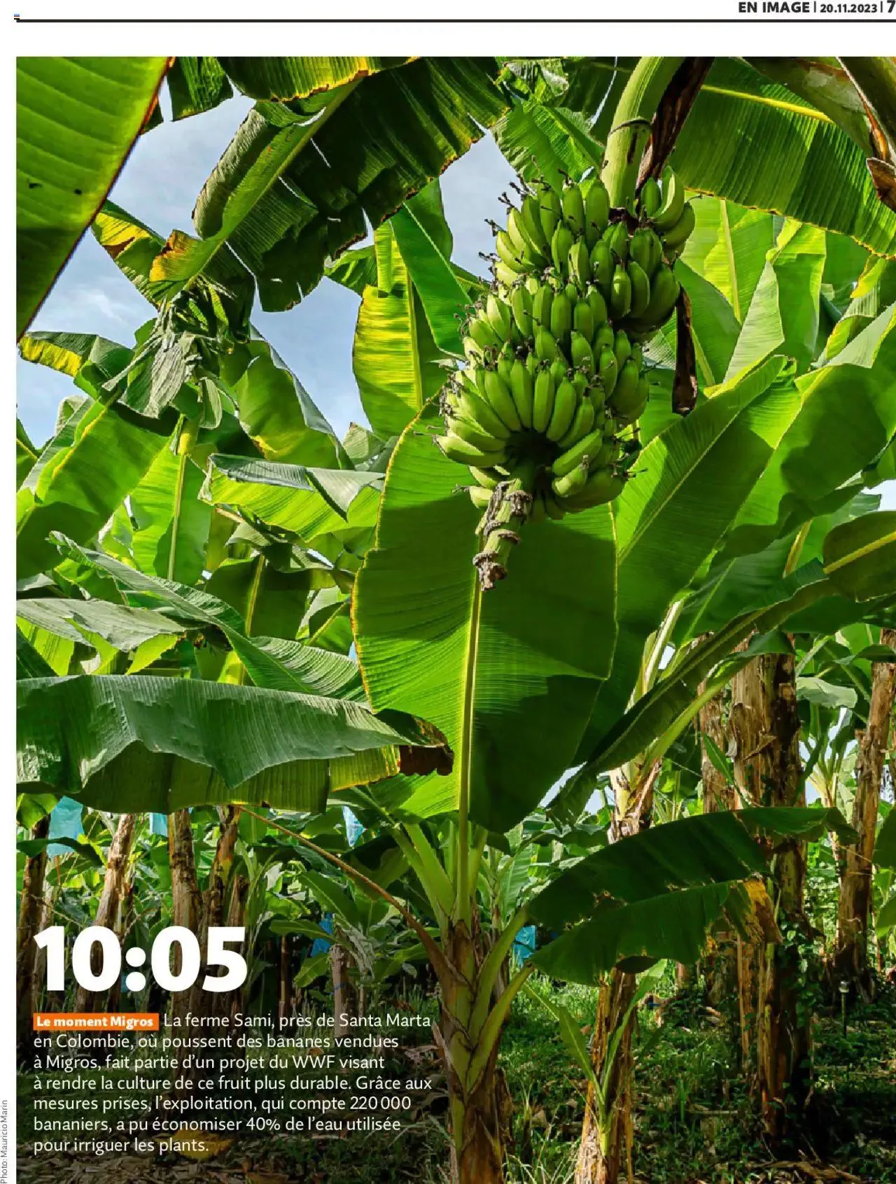 Migros Magazin FR von 20. November bis 31. Dezember 2023 - Prospekt seite  7