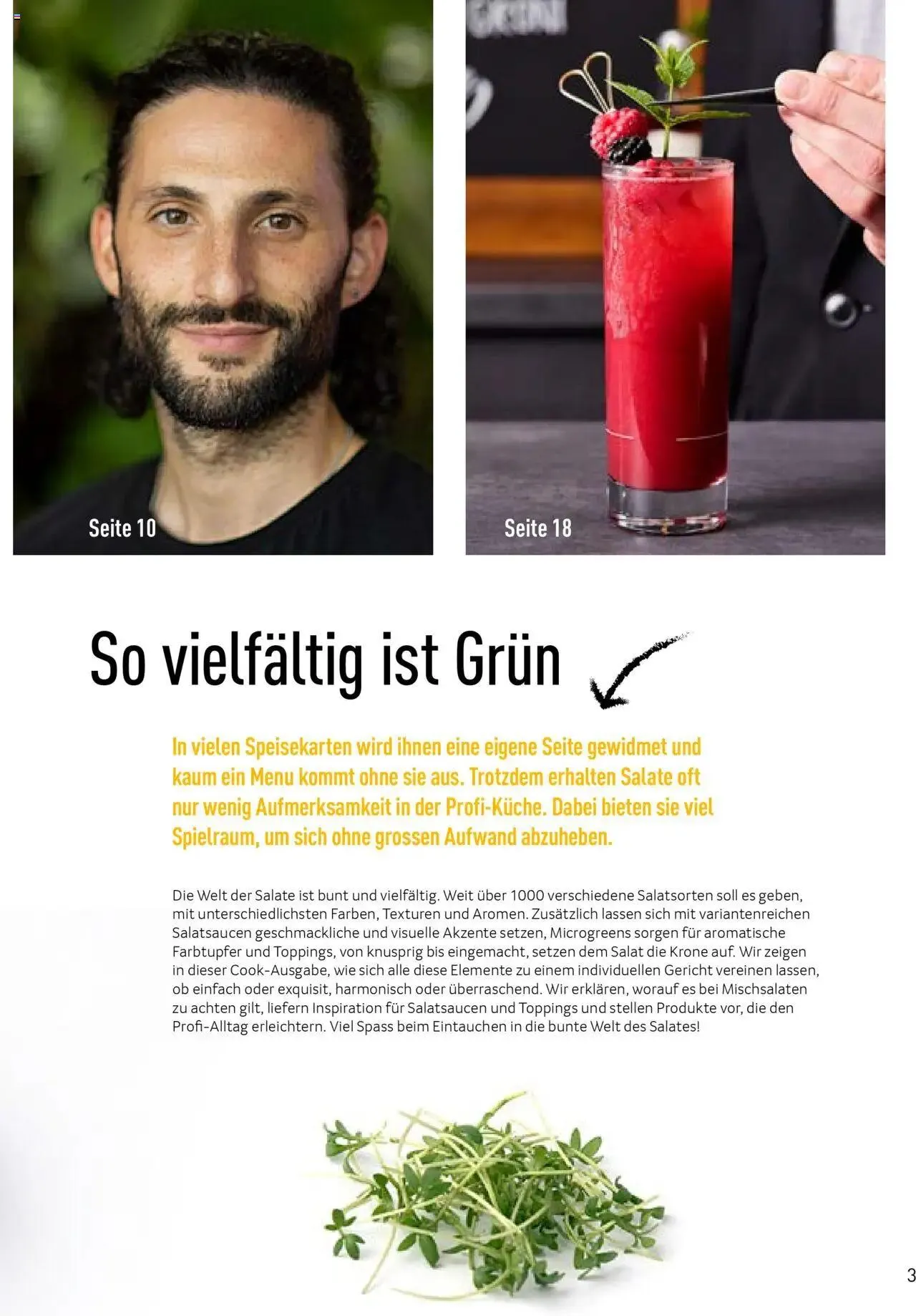 Prodega Aktionen Cook Magazin 10/24 | Buntes Grün von 14. Oktober bis 21. Dezember 2024 - Prospekt seite  3