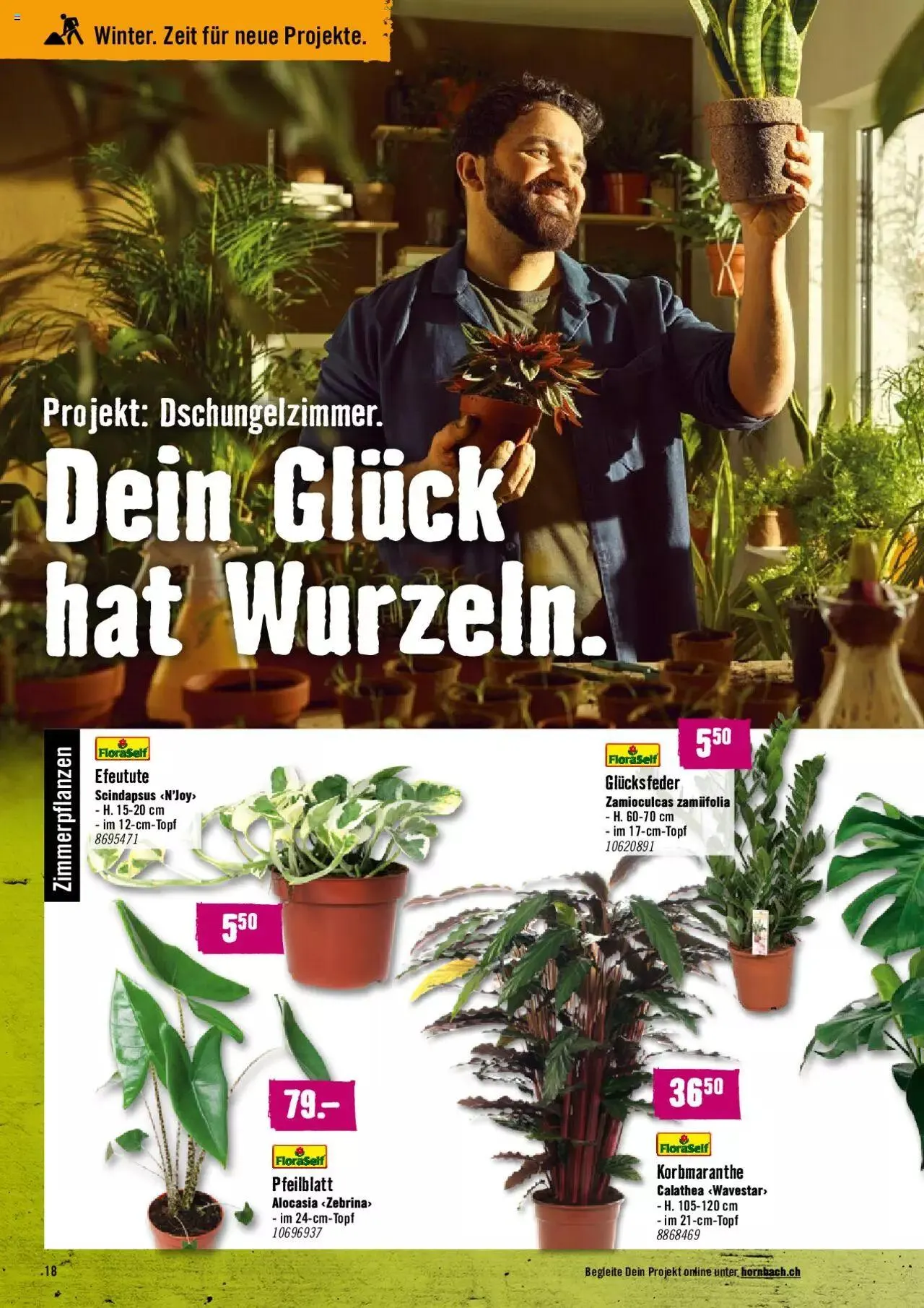 Hornbach Aktionen von 1. Februar bis 26. Februar 2024 - Prospekt seite 18
