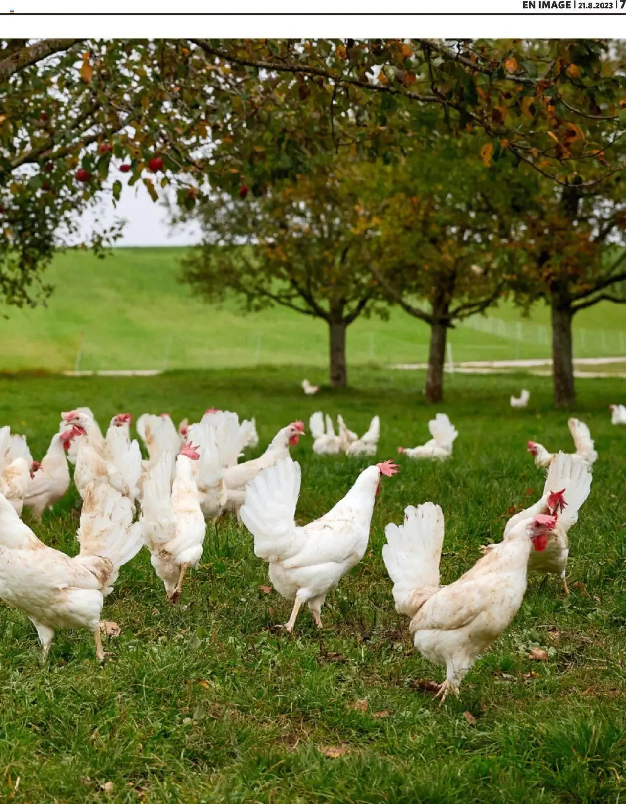 Migros - Magazin FR von 21. August bis 31. Dezember 2023 - Prospekt seite 7