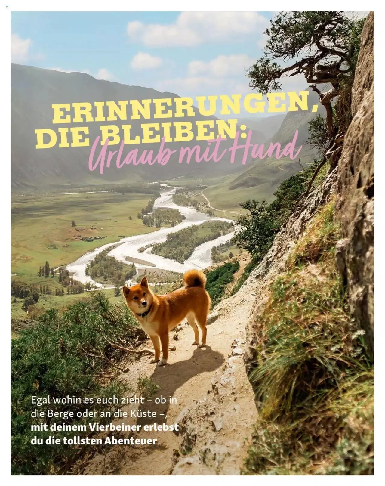 Fressnapf Magazin von 1. Mai bis 31. Dezember 2023 - Prospekt seite  16