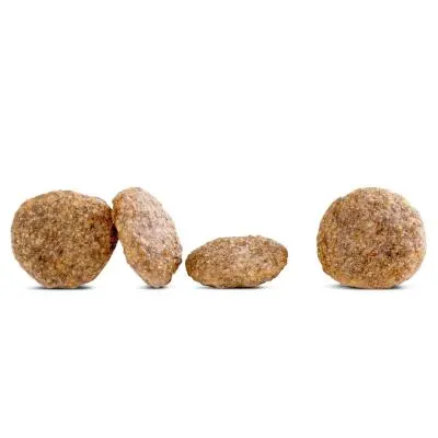 Happy Dog Hundefutter Sensible Mini India 800g