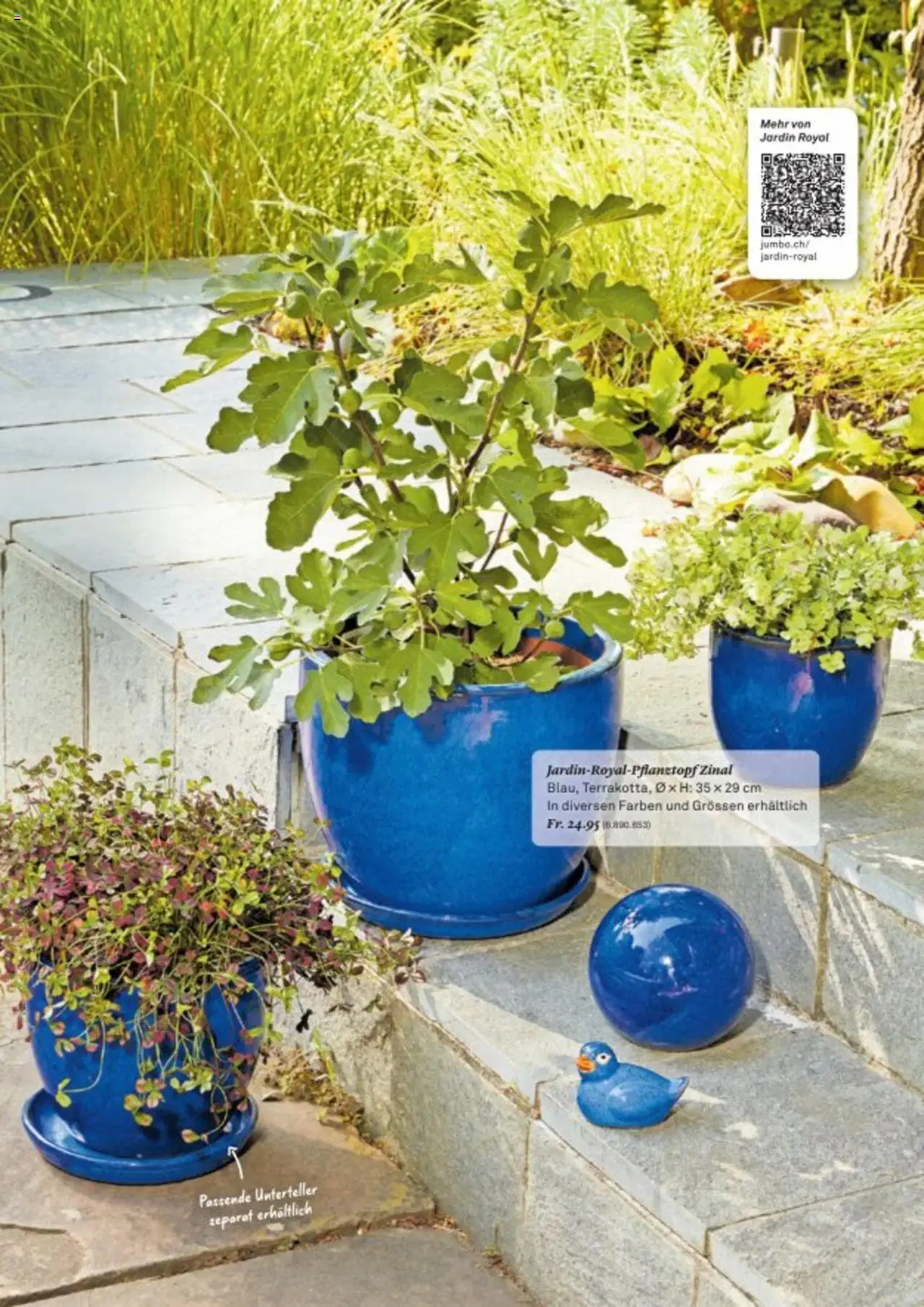 Jumbo Aktionen giardino von 21. Oktober bis 31. Dezember 2024 - Prospekt seite  12