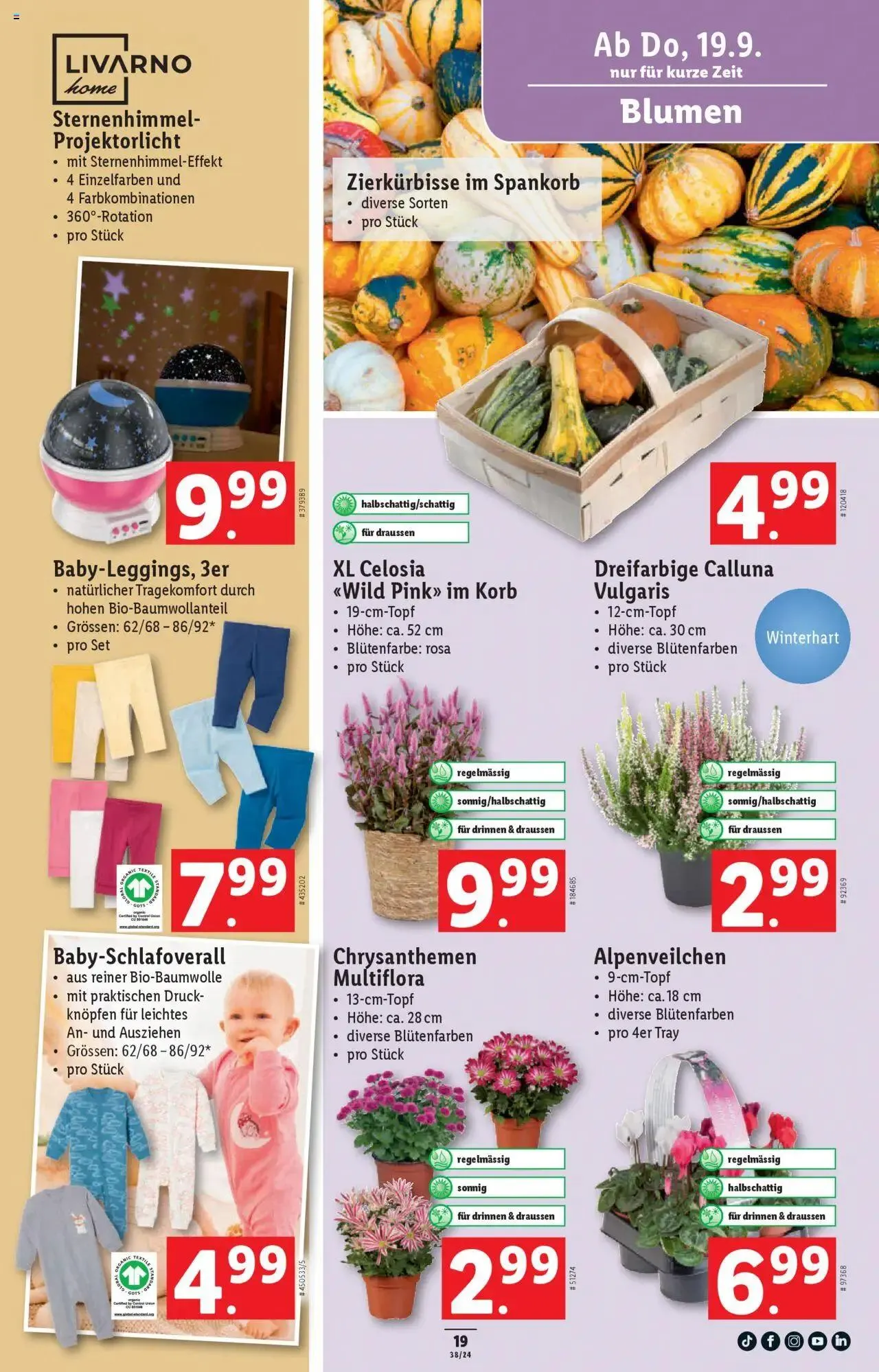 Lidl Aktionen von 19. September bis 25. September 2024 - Prospekt seite  19