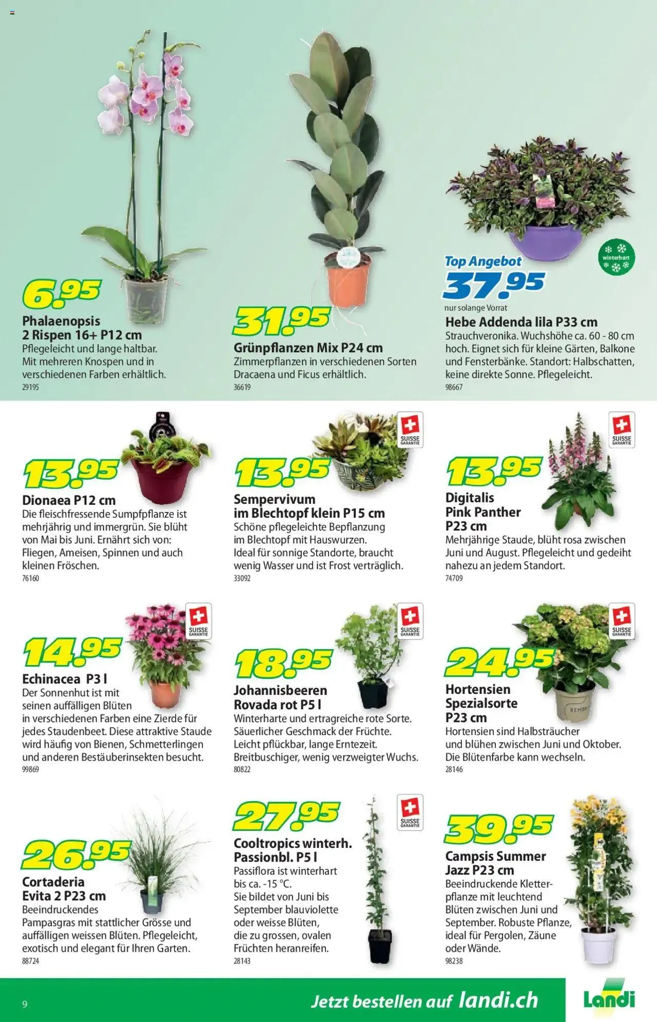 Landi Aktionen von 5. August bis 18. August 2024 - Prospekt seite  13