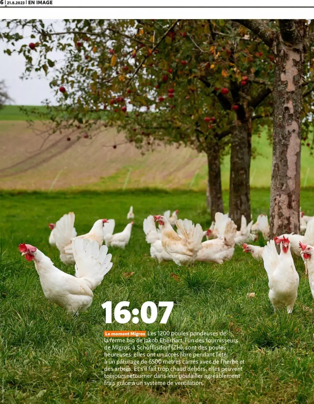 Migros - Magazin FR von 21. August bis 31. Dezember 2023 - Prospekt seite 6