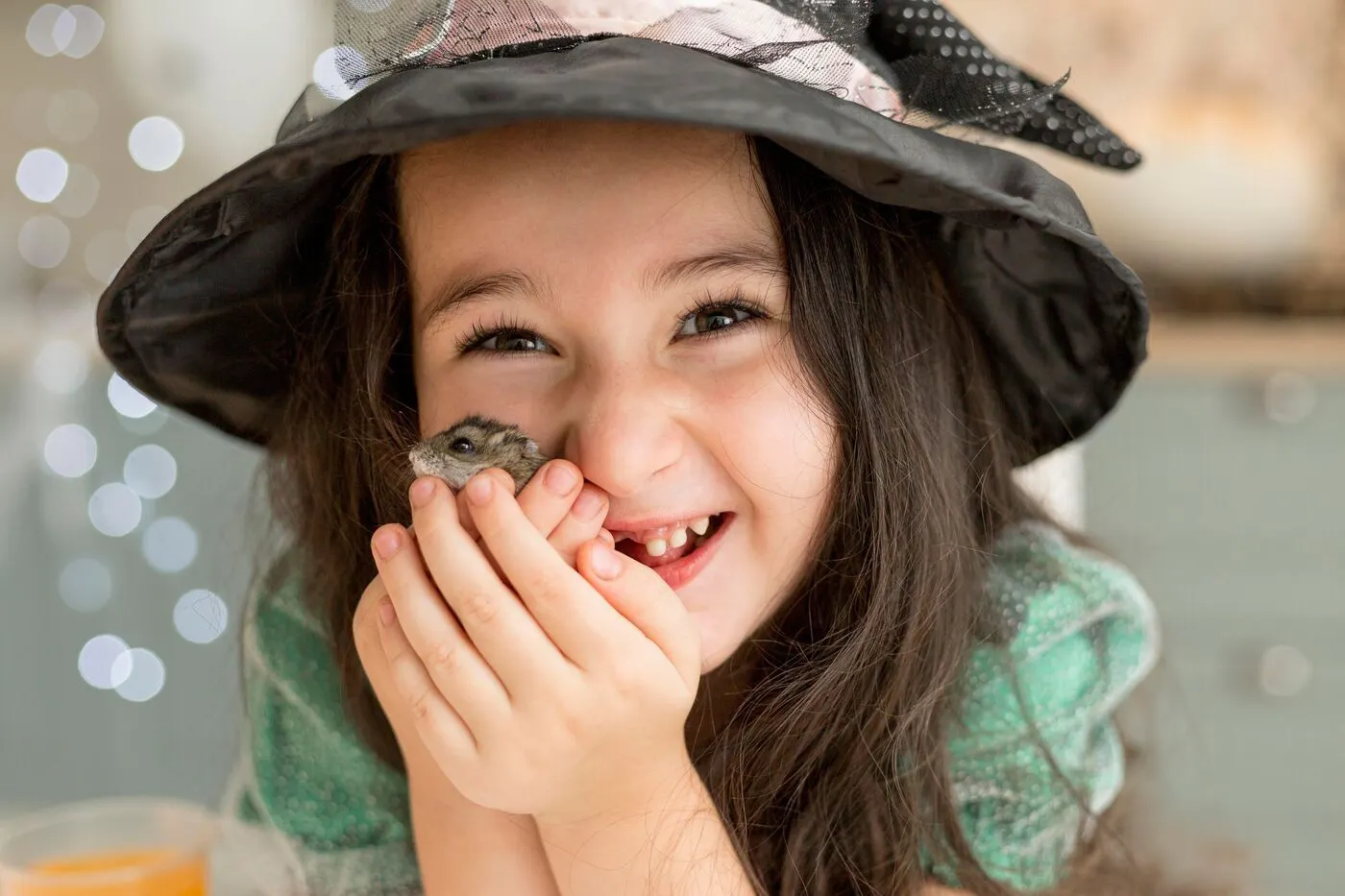 Las mascotas más económicas que puedes tener