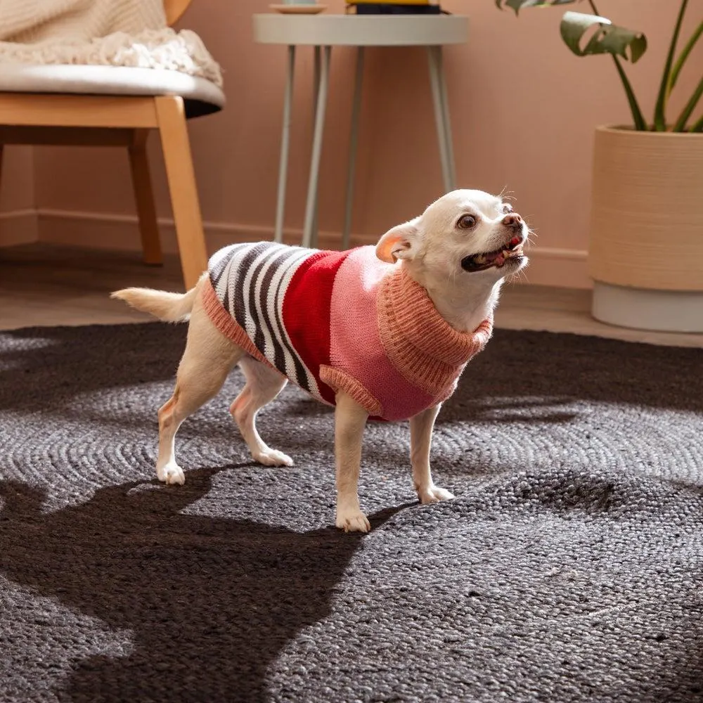 Chaleco tejido para mascota S