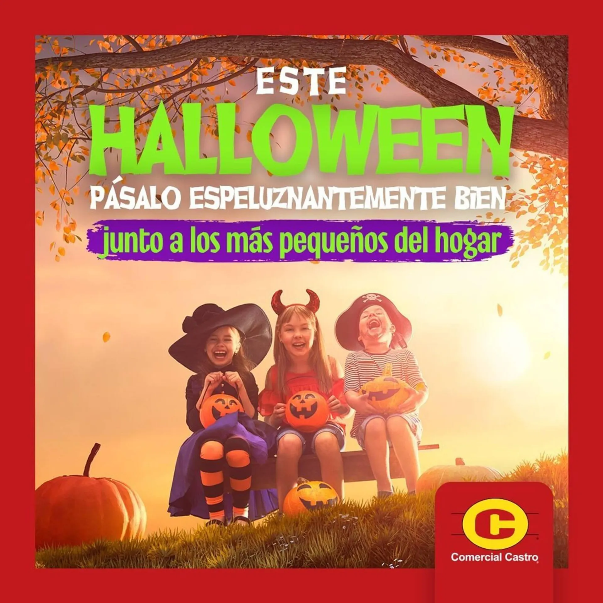 Catálogo de Catálogo Comercial Castro 30 de noviembre al 10 de diciembre 2023 - Página 8