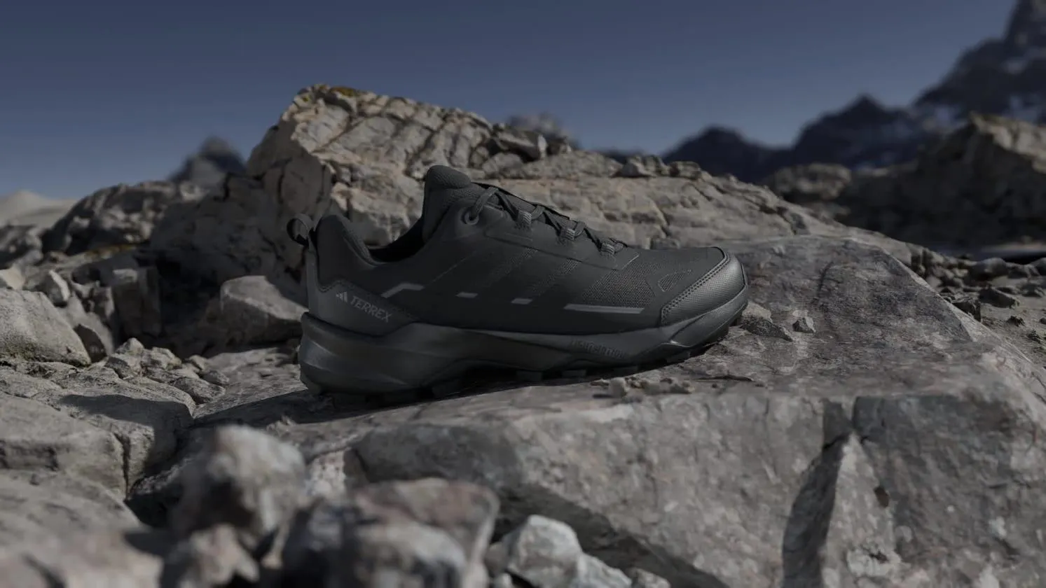 Zapatillas de Senderismo Terrex Skychaser Ax5