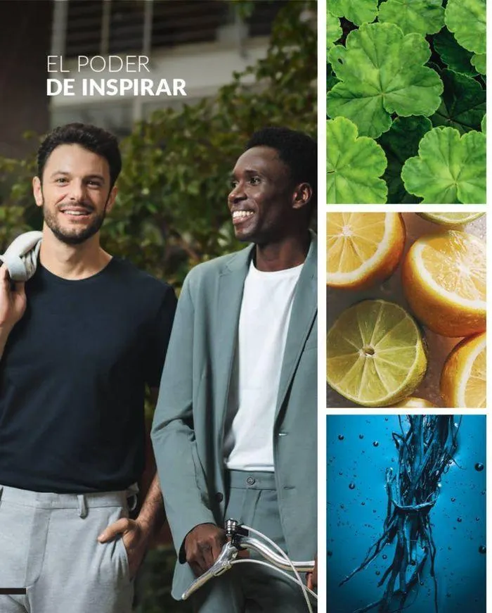 Catálogo de Catálogo Avon C9 6 de junio al 15 de junio 2024 - Página 40