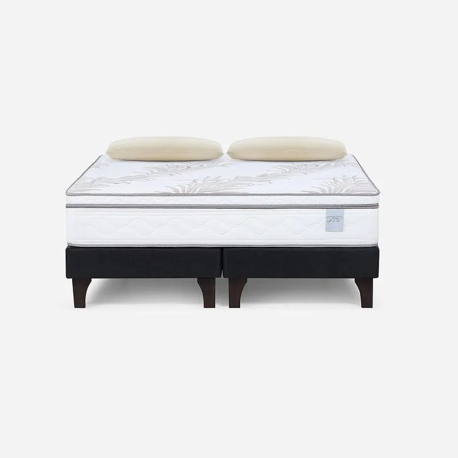Cama Neo Plus King + Almohadas Esencial