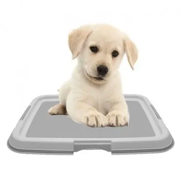 SOPORTE CARPETA ORIENTADORA