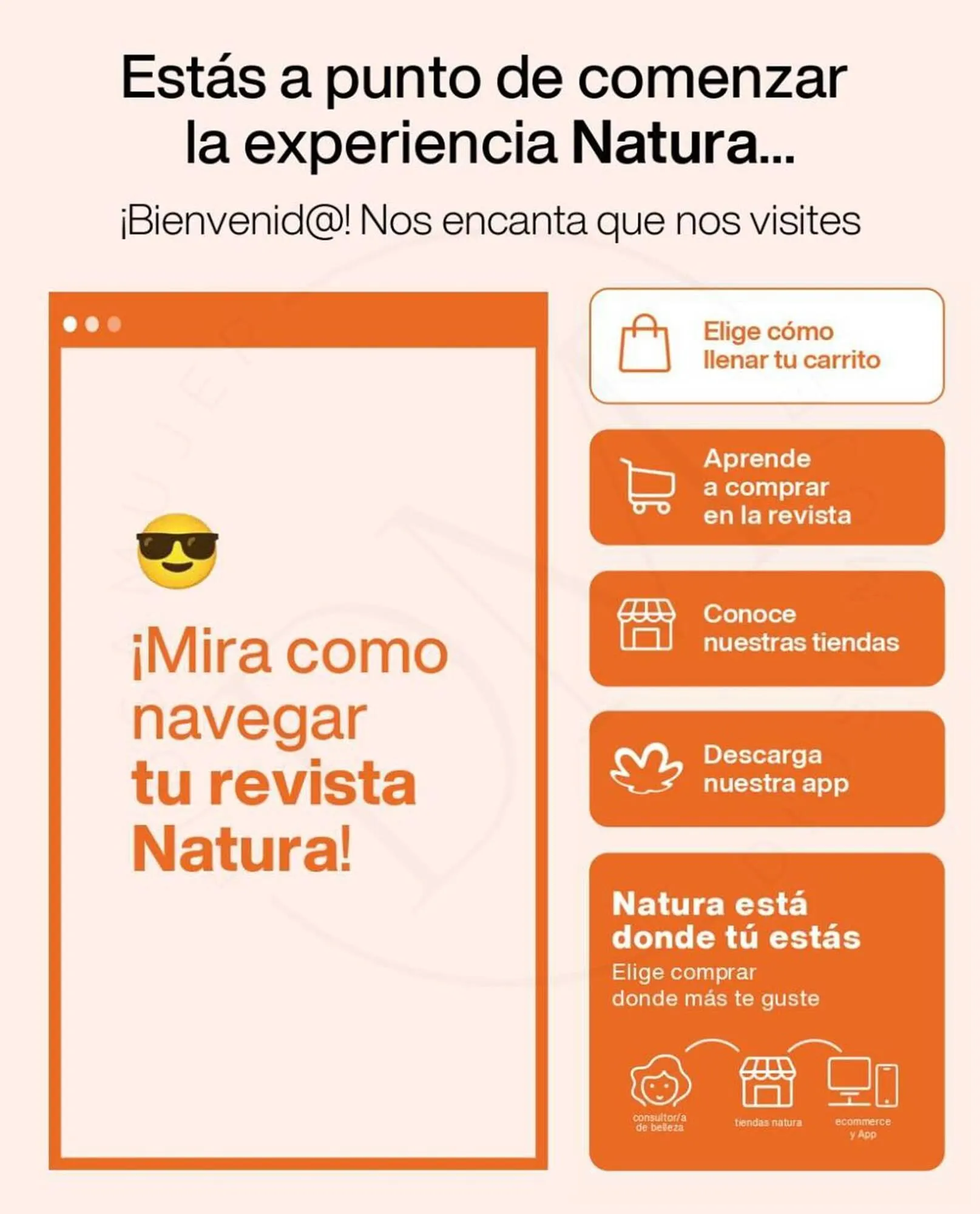 Catálogo de Catálogo Natura 15 de octubre al 15 de noviembre 2024 - Página 2